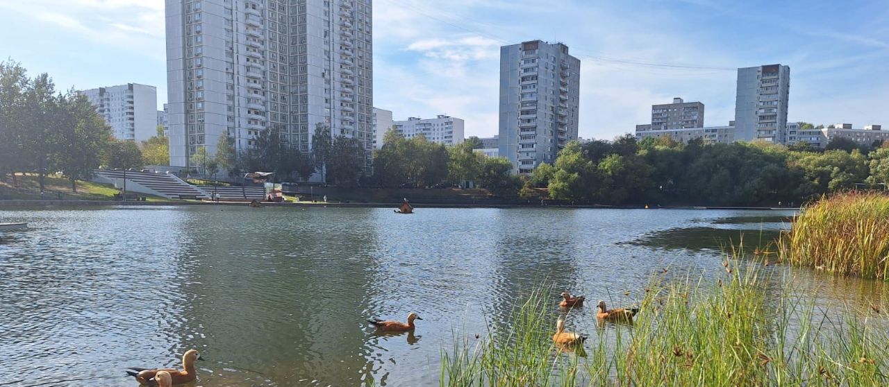 квартира г Москва метро Беляево ул Профсоюзная 97 муниципальный округ Коньково фото 16