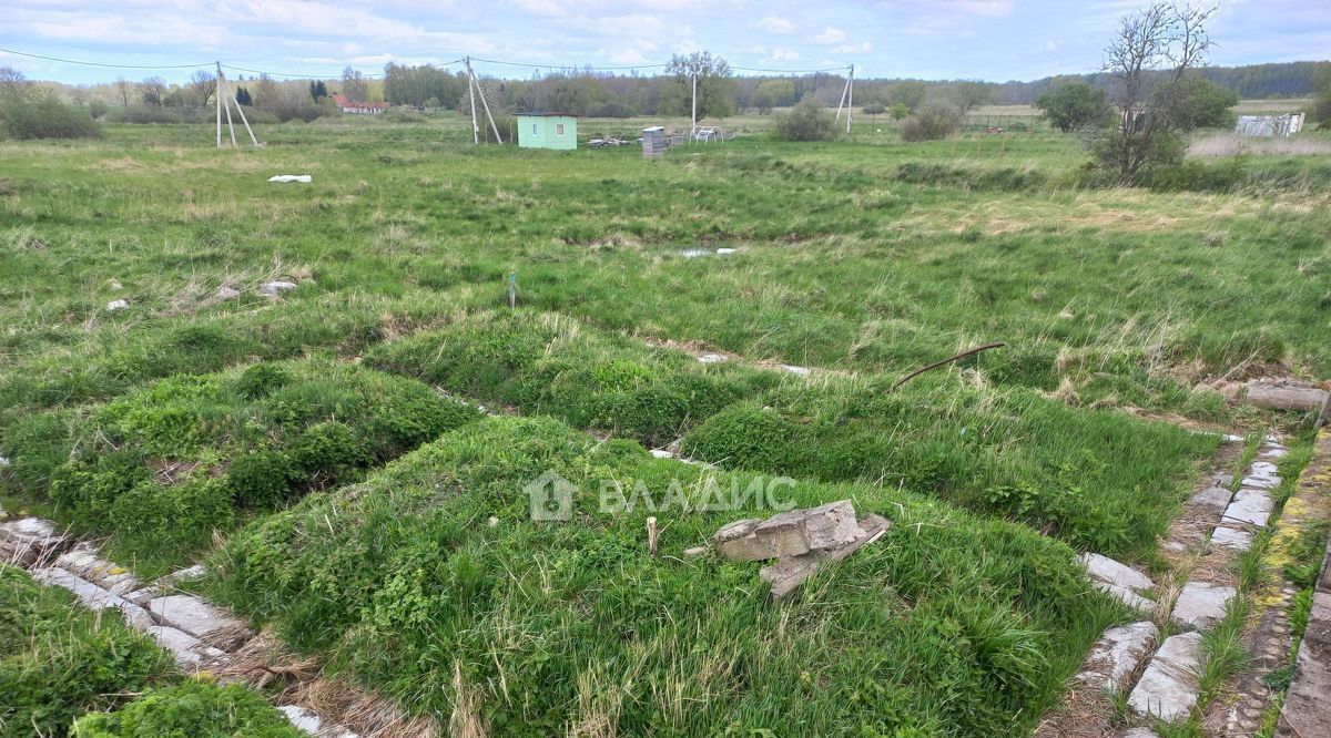 земля р-н Багратионовский п Марийское Багратионовский муниципальный округ фото 9