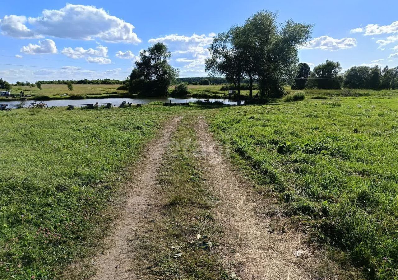 земля городской округ Коломенский д Андреевка 9791 км, Воскресенск, г. о. Коломна, Новорязанское шоссе фото 2