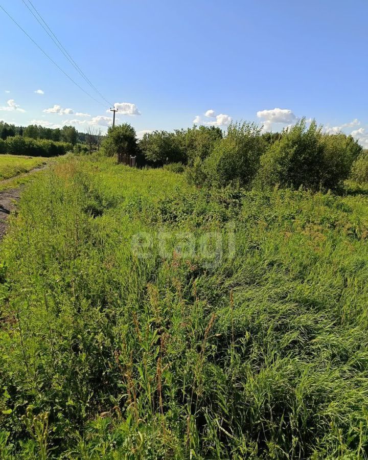 земля городской округ Коломенский д Андреевка 9791 км, Воскресенск, г. о. Коломна, Новорязанское шоссе фото 3