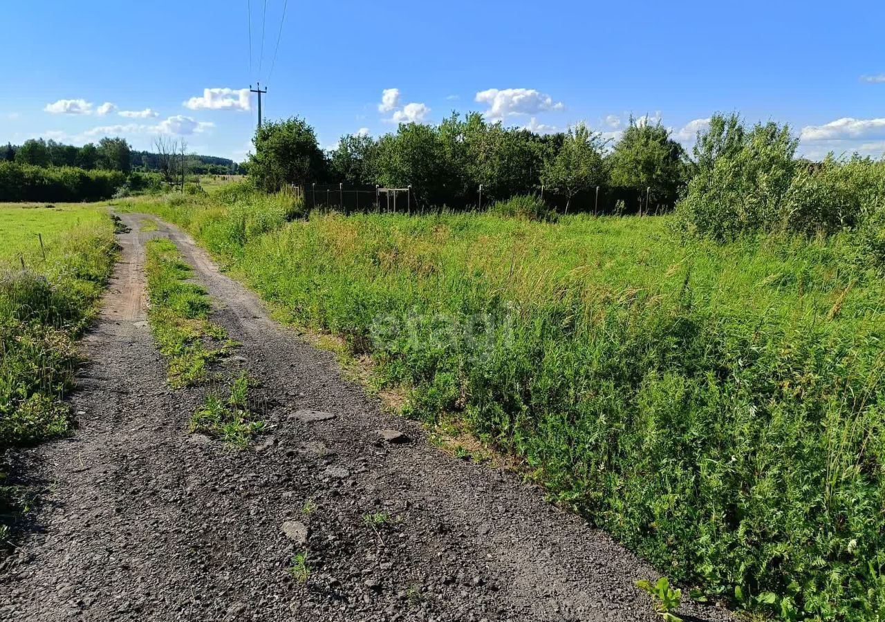 земля городской округ Коломенский д Андреевка 9791 км, Воскресенск, г. о. Коломна, Новорязанское шоссе фото 6