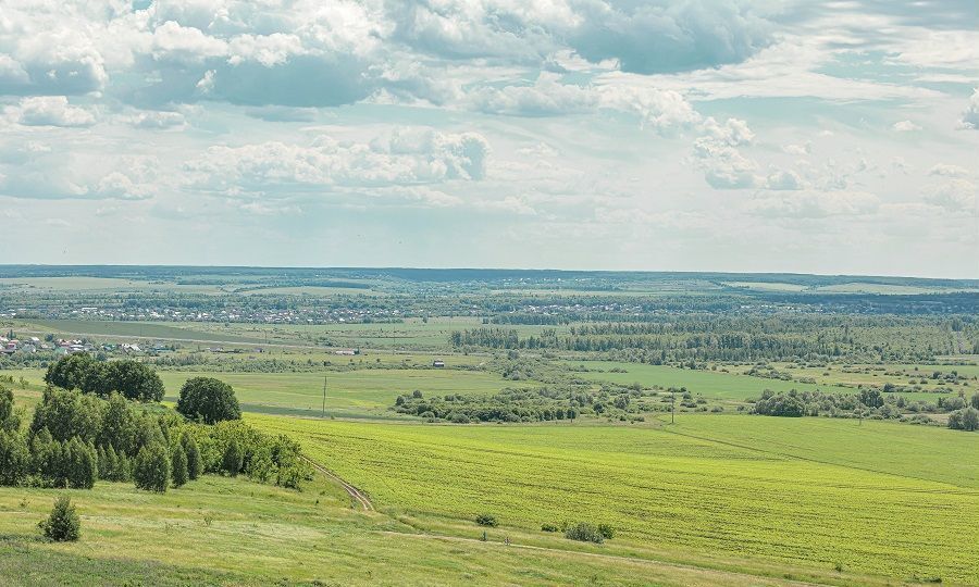 квартира г Пенза р-н Первомайский ул Зеленодольская 74 фото 6