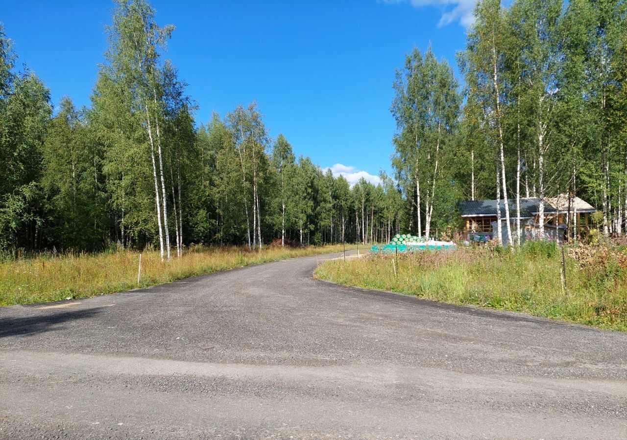 земля городской округ Сергиево-Посадский с Бужаниново 9791 км, Краснозаводск, Ярославское шоссе фото 14