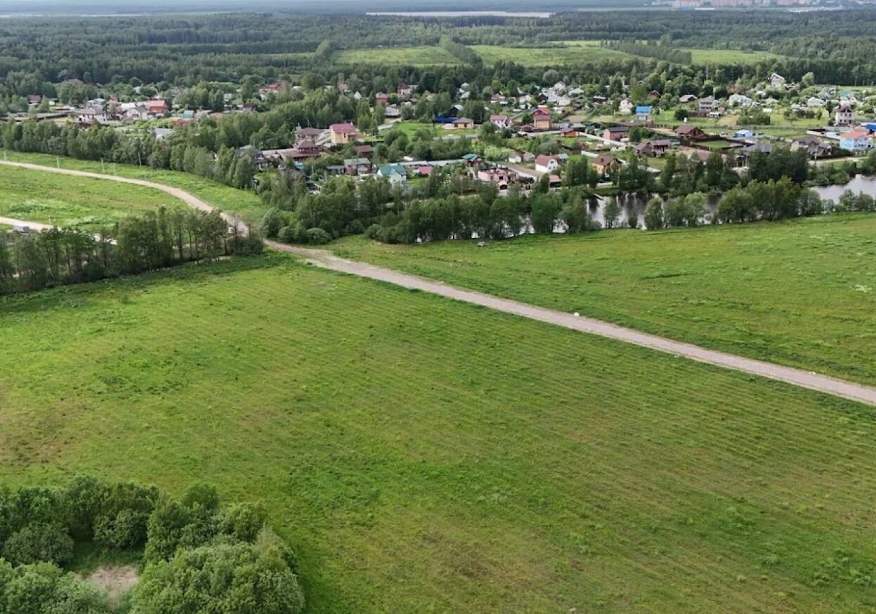 земля городской округ Ступино д Бабеево 9762 км, 45, Электросталь, Носовихинское шоссе фото 14