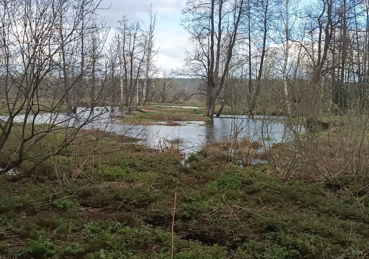 земля городской округ Орехово-Зуевский д Игнатово 75 км, Егорьевск, Егорьевское шоссе фото 6