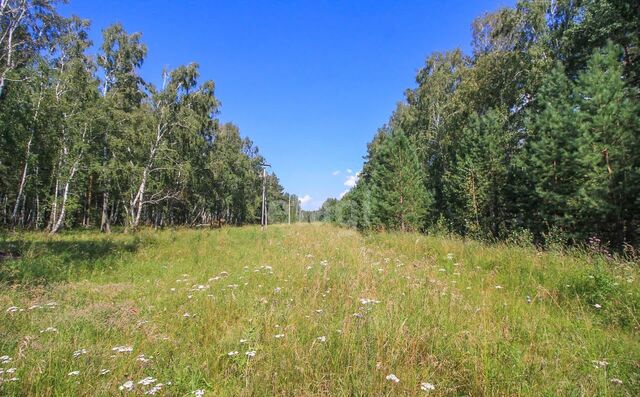 ул Антонины Софроновой Барнаул фото