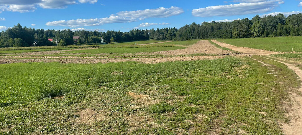 земля городской округ Пушкинский д Василёво фото 1