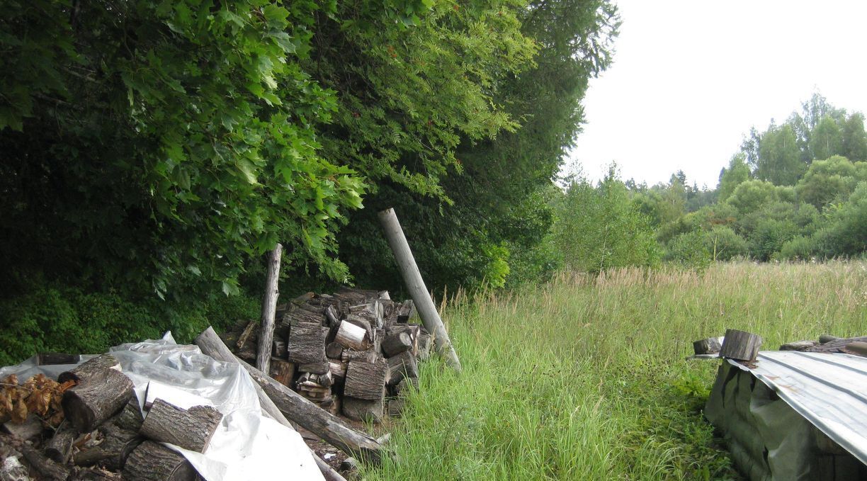 офис городской округ Рузский д Высоково фото 2