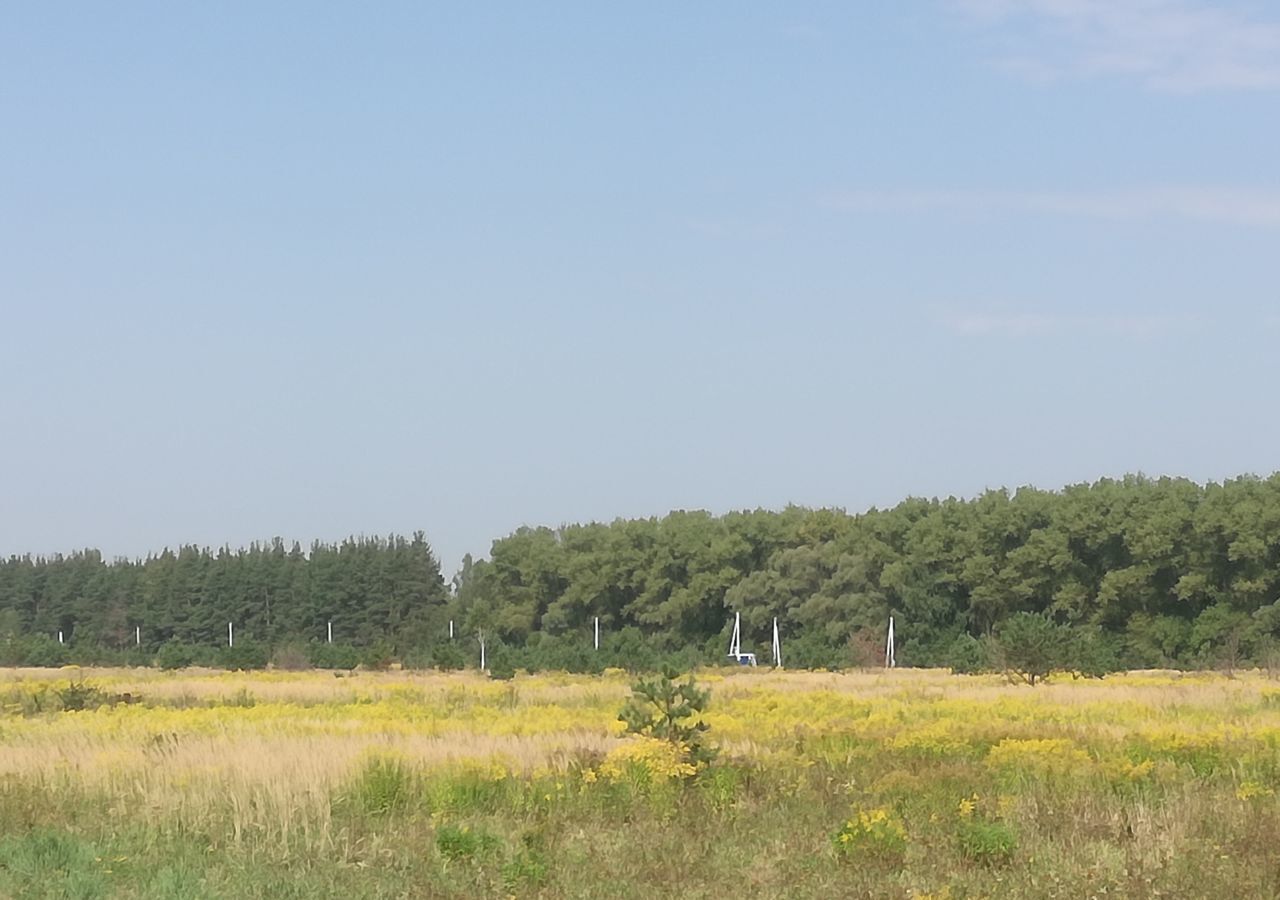 земля р-н Карачевский г Карачев Карачевское городское поселение, коттеджный пос. Белые Росы фото 3