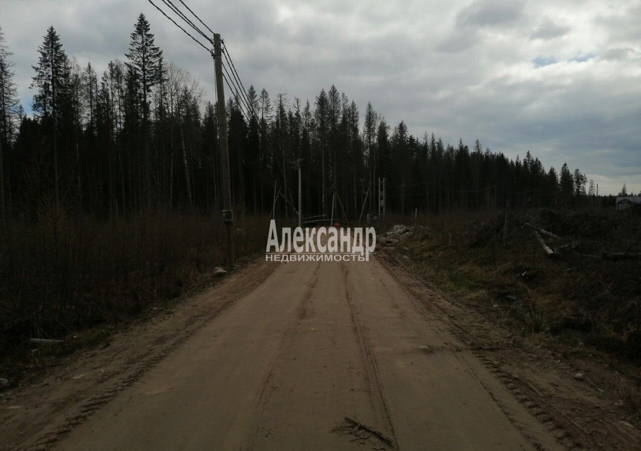 земля р-н Выборгский тер Полянская пр-д 3-й Камышовый Выборгское шоссе, 9772 км, Полянское сельское поселение, массив, Каменка фото 6