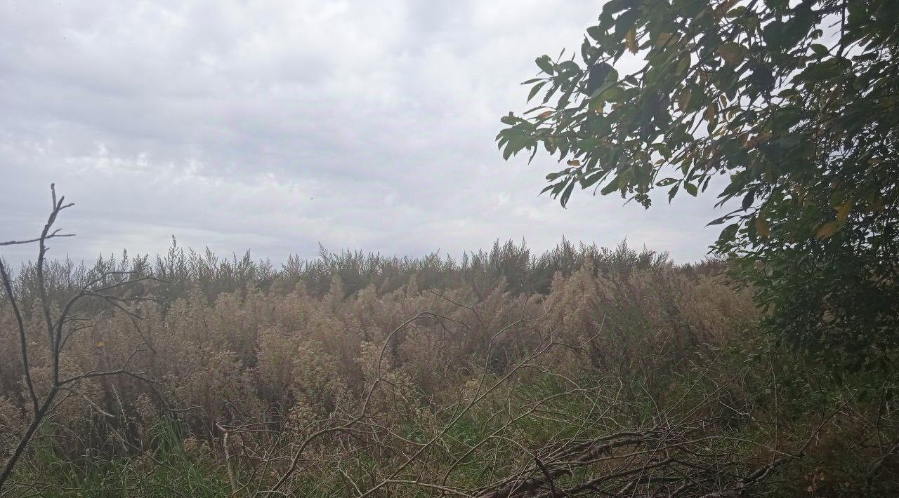 офис городской округ Сергиево-Посадский Напольское садовое товарищество фото 4