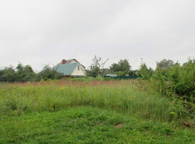 с Парфентьево Коломна городской округ фото