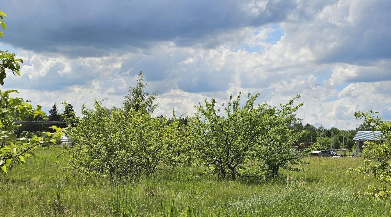 офис городской округ Луховицы с Григорьевское ул Новая фото 2