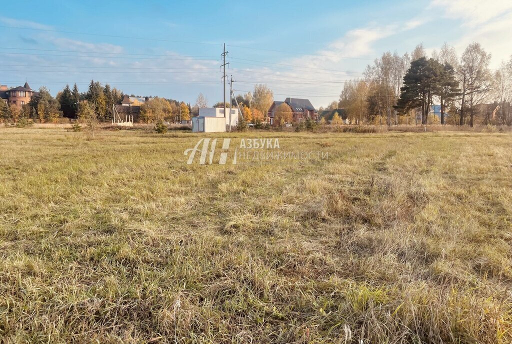 земля городской округ Богородский г Ногинск ул Ново-Богородская фото 3