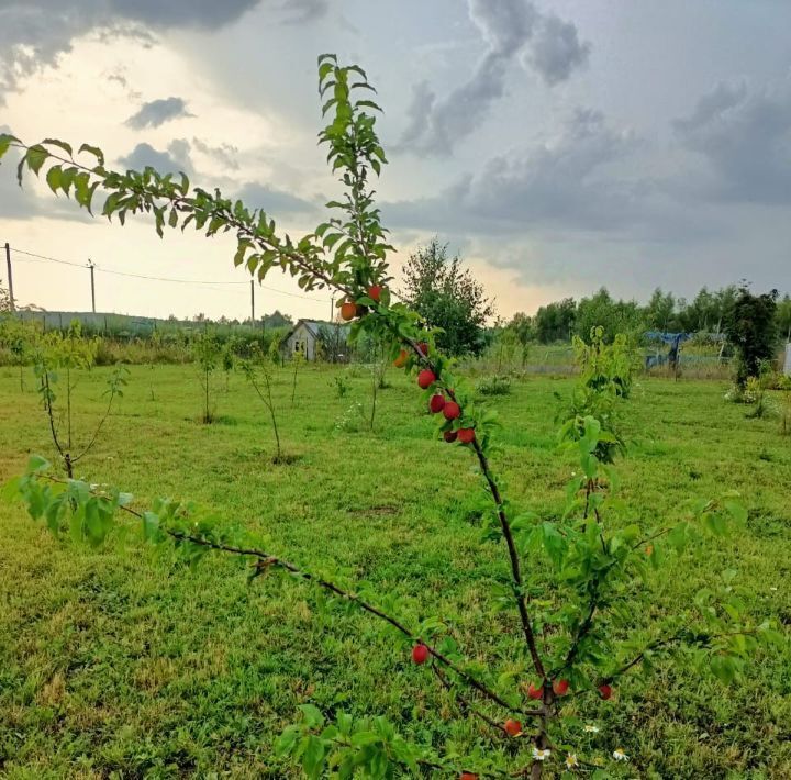 земля городской округ Серпухов д Федотовка фото 16