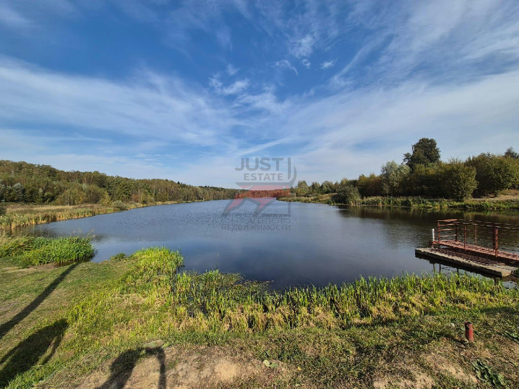 земля городской округ Красногорск д Аристово Аристово д. Юности ул фото 17