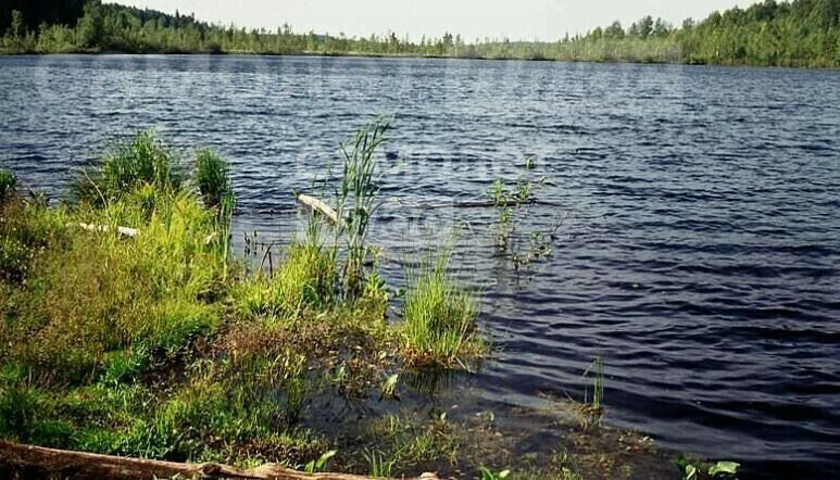 квартира р-н Килемарский п Визимьяры ул Гагарина 1 фото 2