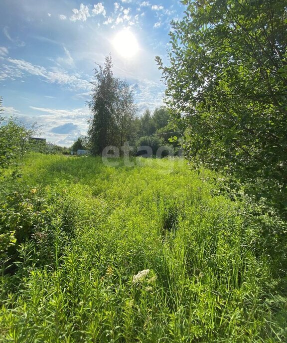 земля г Калуга снт Ромашка ул Родниковая фото 3