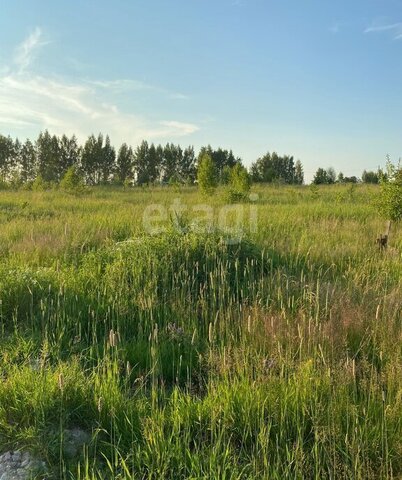 д Лихун ул Янтарная фото