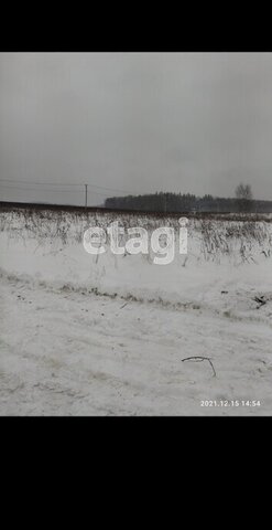 сельское поселение Муромцево, садово-дачное товарищество Лесной фото