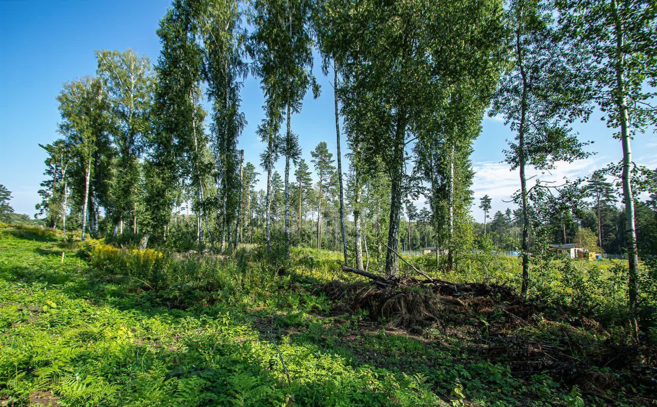 земля р-н Новосибирский снт Вера Барышевский сельсовет, Новосибирск фото 11