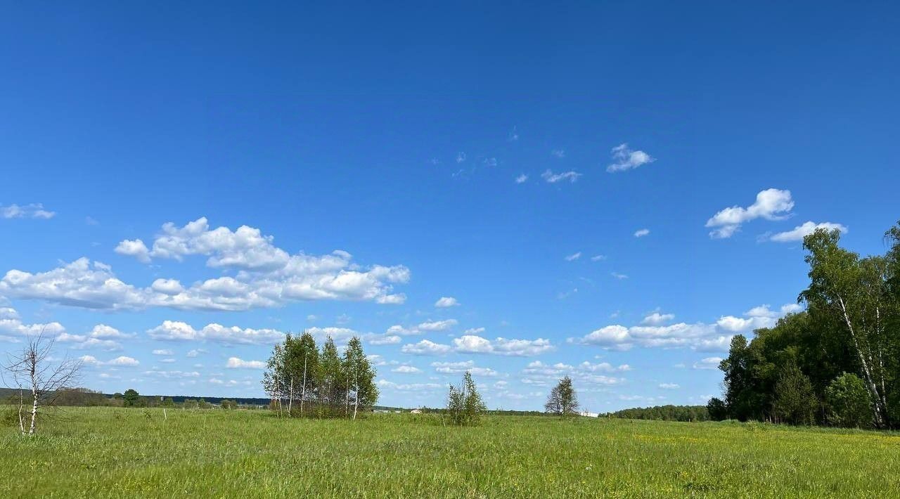 земля городской округ Серпухов д Гавшино фото 11