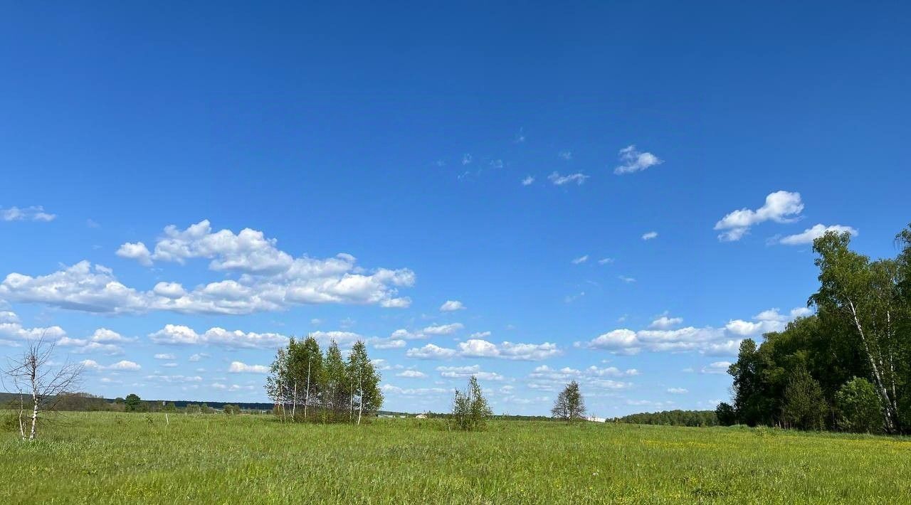 земля городской округ Серпухов д Гавшино фото 11