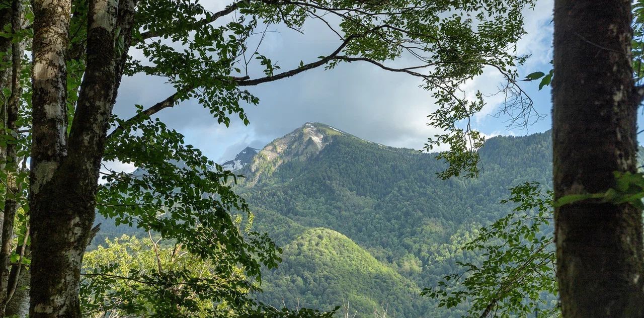 дом г Сочи пгт Красная Поляна ул. Черничная, 23А фото 10