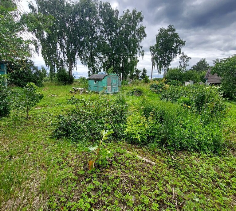 земля р-н Палкинский д Воронино волость, Черская фото 1