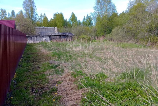 снт Дубинка Тямшанская волость фото