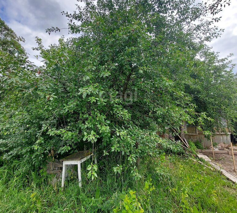 земля р-н Палкинский д Воронино волость, Черская фото 10