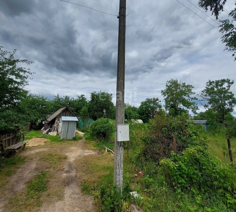 земля р-н Палкинский д Воронино волость, Черская фото 18