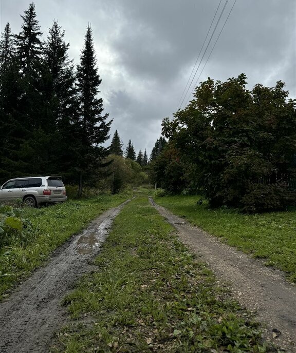 дом р-н Емельяновский с/с Зеледеевский сельсовет, садоводческое товарищество, Горняк фото 18