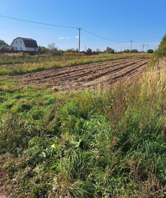 земля р-н Новгородский д Старое Ракомо ул Сосновая фото 5