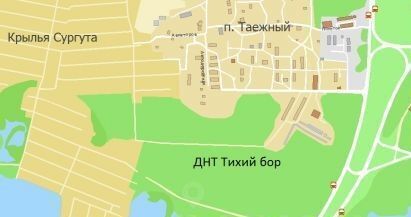 тер ДНТ Тихий бор фото