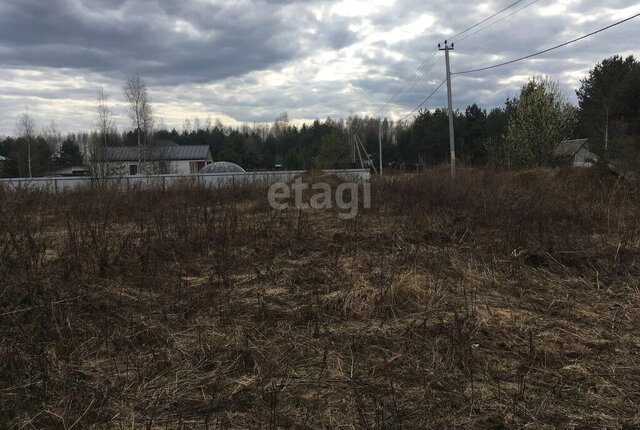 д Городище муниципальное образование Югское фото