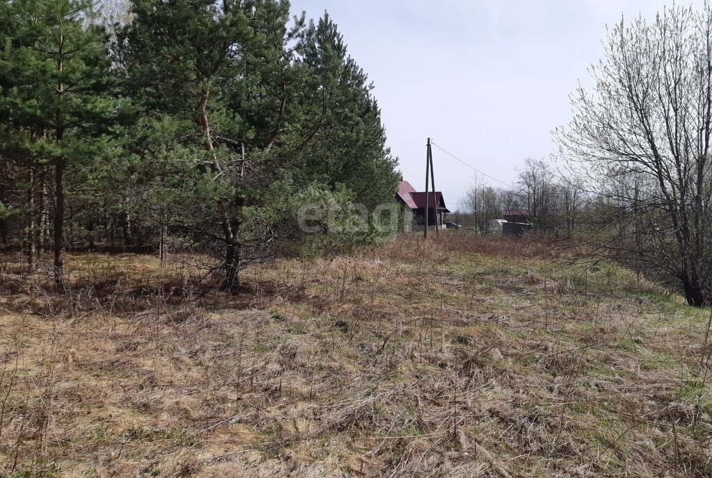 земля р-н Устюженский д Ванское фото 2