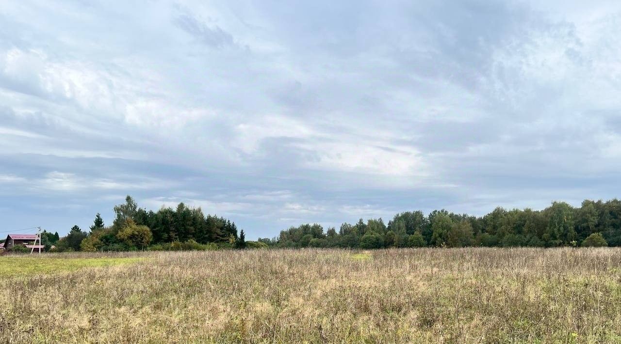 земля городской округ Истра д Ремянники фото 4