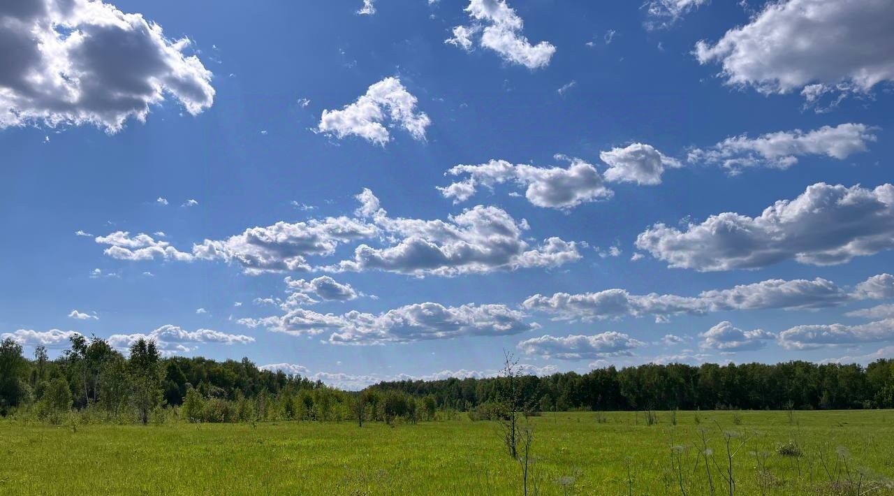 земля городской округ Серпухов д Гавшино фото 10