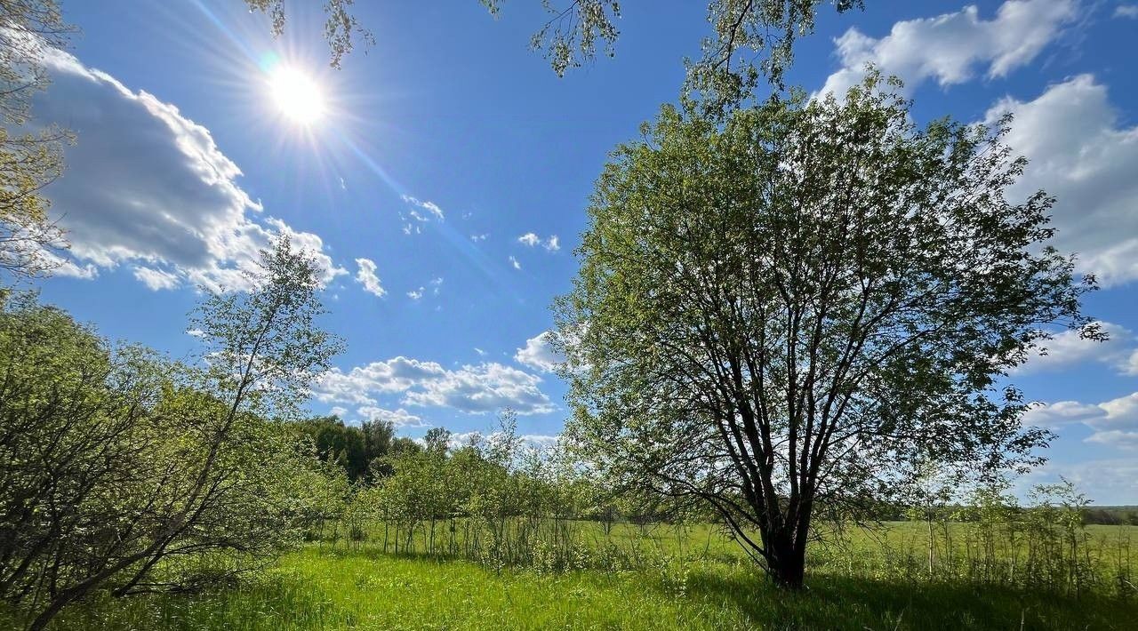 земля городской округ Серпухов д Гавшино фото 12