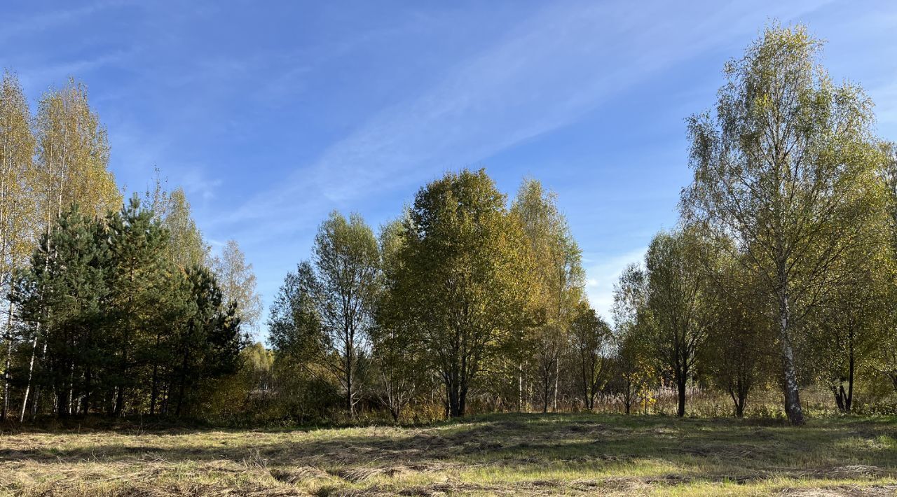 дом р-н Спировский д Раменье фото 9