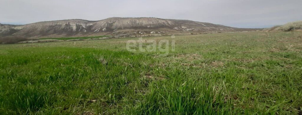 земля р-н Белогорский с Курское ул Северная фото 7