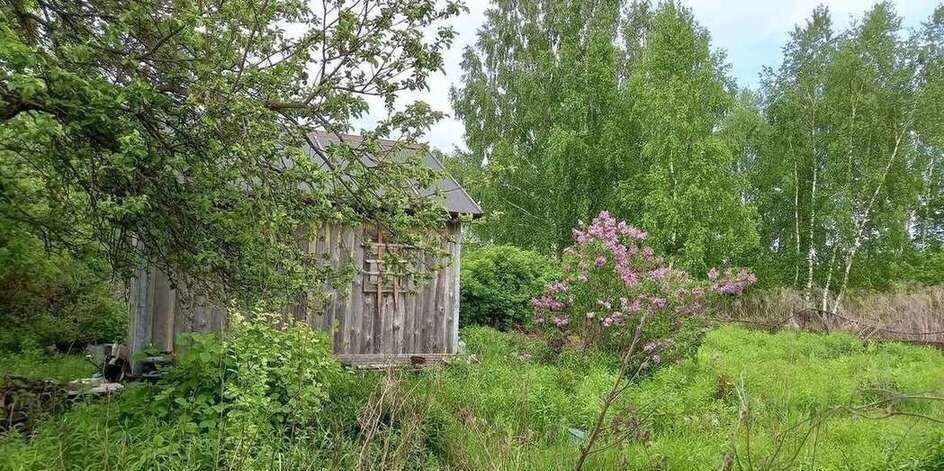 дом р-н Брянский с Толмачево Снежское сельское поселение, СДТ Русь, Путевка фото 1