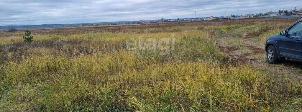 земля р-н Дзержинский д Новоскаковское сельское поселение Дворцы фото 3