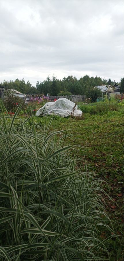 дом р-н Емельяновский Мининский сельсовет, Памяти 13 Борцов, садоводческое некоммерческое товарищество Маяк фото 15