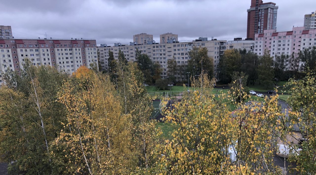 квартира г Санкт-Петербург метро Проспект Большевиков пр-кт Большевиков 4к/1 фото 14