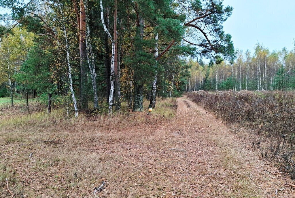 земля р-н Киржачский д Старово муниципальное образование Першинское фото 9