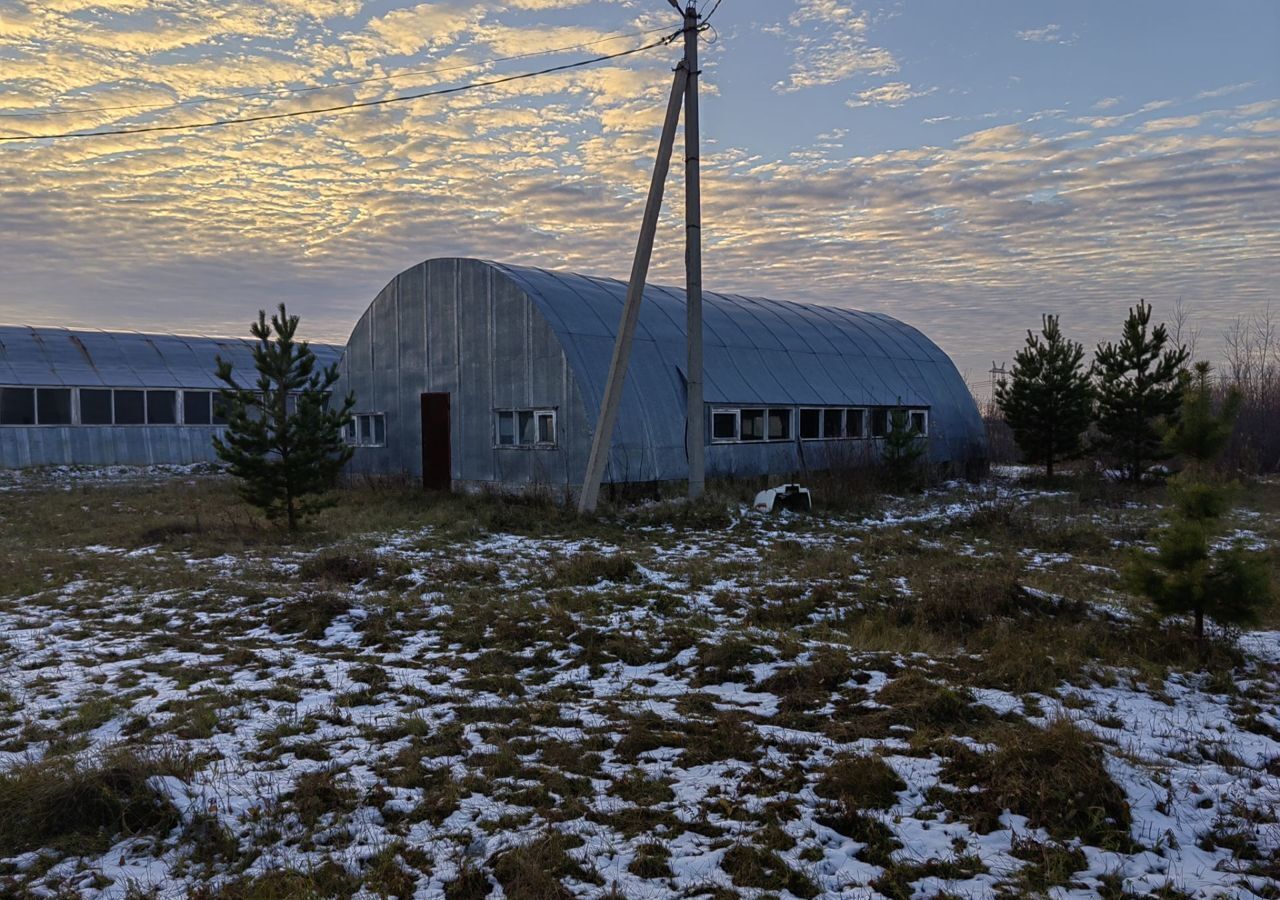 производственные, складские р-н Ярковский с Дубровное ул Новая 3/1 Каскара фото 3