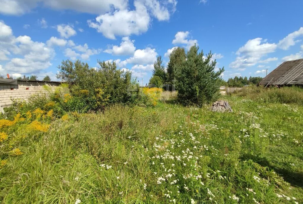 земля г Великий Новгород ул Восточная Державинский район фото 8