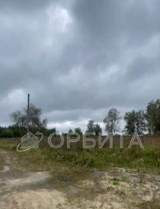 земля г Тюмень р-н Центральный снт Царево ул Грибная фото 2